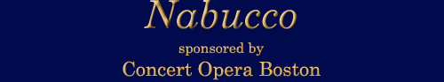 nabuccoBanner.gif (9132 bytes)